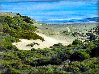 Cala Presili es la primera playa de las varias playas virgenes de este parque natural de Es Grao y  area protegida y dentro del municipio de Mao  