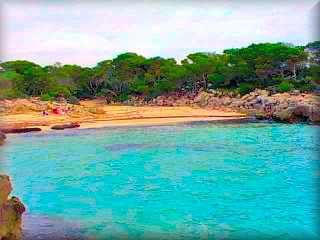 Playa virgen de Talaier, como en casi todas las playas virgenes tiene una area de bosque por detras de la playa de arenas finas y suabes, algo mas de rocas al lado izquierdo tiene bastantes visitantes en verano