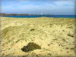 Esta area dunar protegida, es el limite entre el ,ar la playa y la albufera de Cala Morella en pleno parque natural de Es Grao sercano al Faro de Favaritx