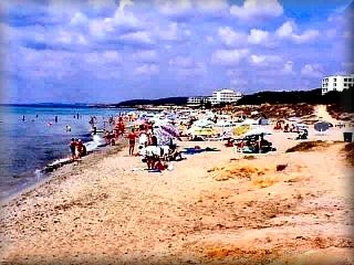 La playa de santo Tomas, en la costa sur pertenece al ayuntamiento de Es Migjorn Gran, y cunta con una urbanizacion de las grandes y veteranas en la actividad turistica de Menorca